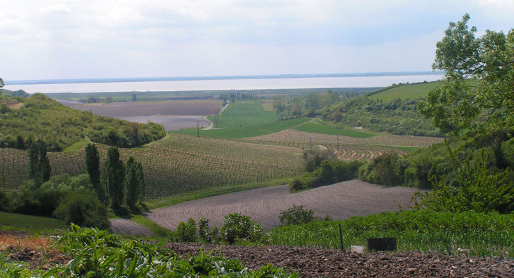 Magnifique vue sur la région