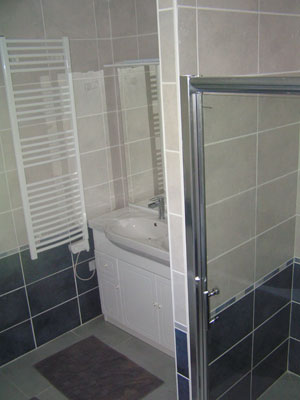 Salle de bains avec douche et baignoire